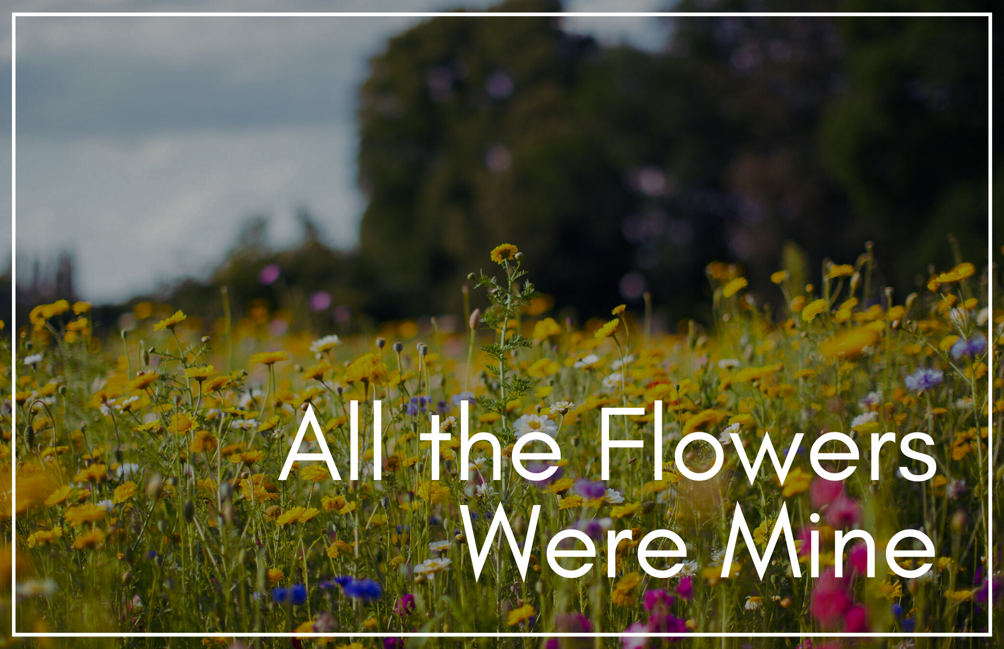 All the Flowers Were Mine